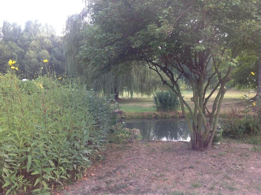 הוילה Saint-Hilaire-les-Andresis Le Foulon - Moulin De Charme - 1 Heure 30 De Paris מראה חיצוני תמונה