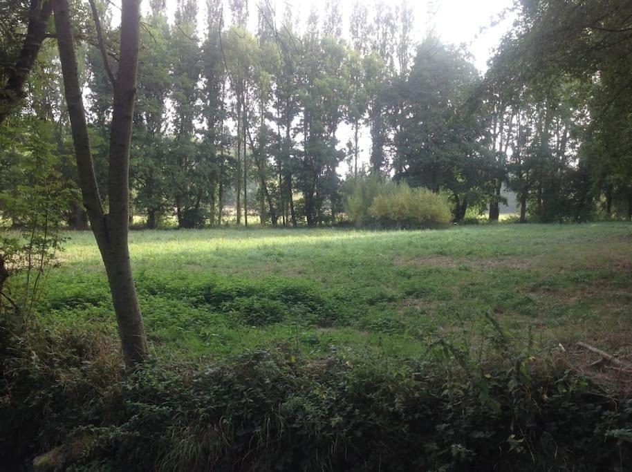 הוילה Saint-Hilaire-les-Andresis Le Foulon - Moulin De Charme - 1 Heure 30 De Paris מראה חיצוני תמונה