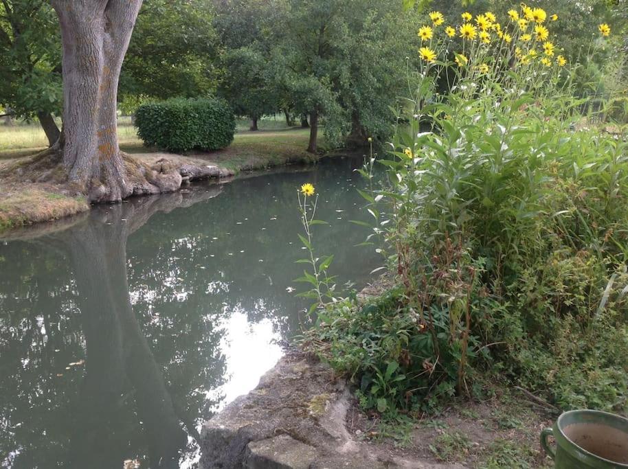 הוילה Saint-Hilaire-les-Andresis Le Foulon - Moulin De Charme - 1 Heure 30 De Paris מראה חיצוני תמונה