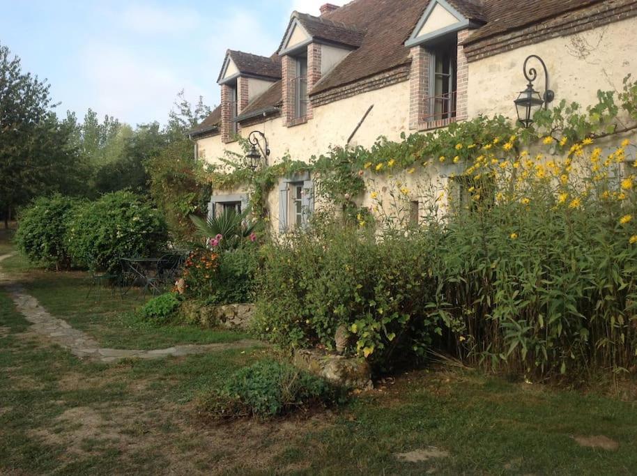 הוילה Saint-Hilaire-les-Andresis Le Foulon - Moulin De Charme - 1 Heure 30 De Paris מראה חיצוני תמונה