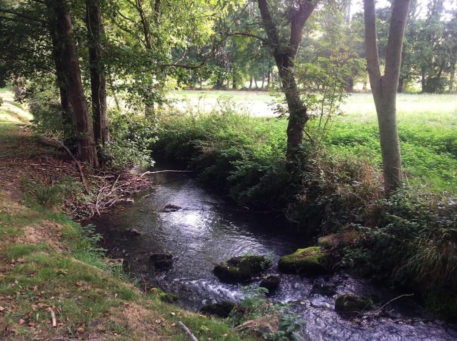 הוילה Saint-Hilaire-les-Andresis Le Foulon - Moulin De Charme - 1 Heure 30 De Paris מראה חיצוני תמונה